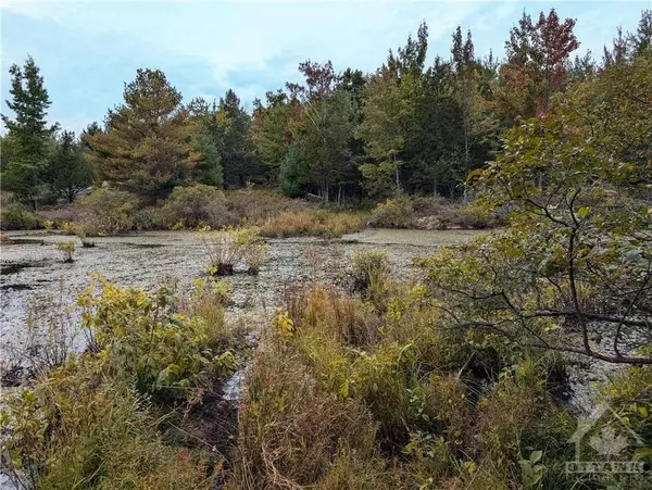 Rideau Lakes, ON K0G 1X0,0 MOUNTAIN RD