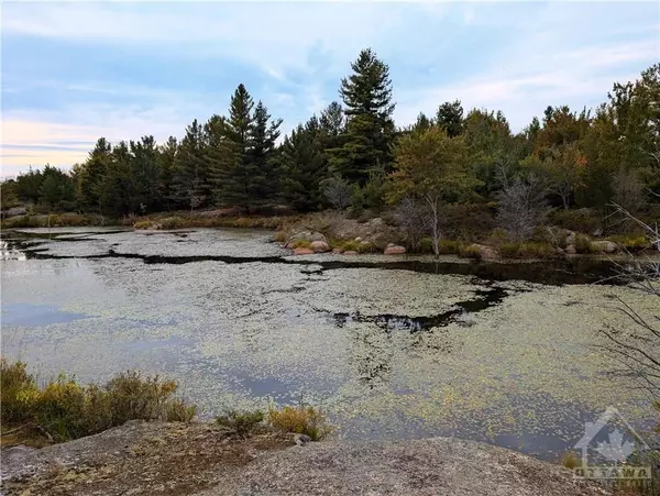 Rideau Lakes, ON K0G 1X0,0 MOUNTAIN RD