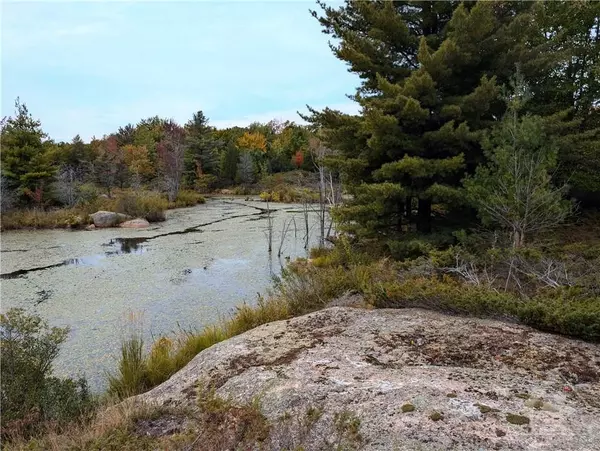 Rideau Lakes, ON K0G 1X0,0 MOUNTAIN RD