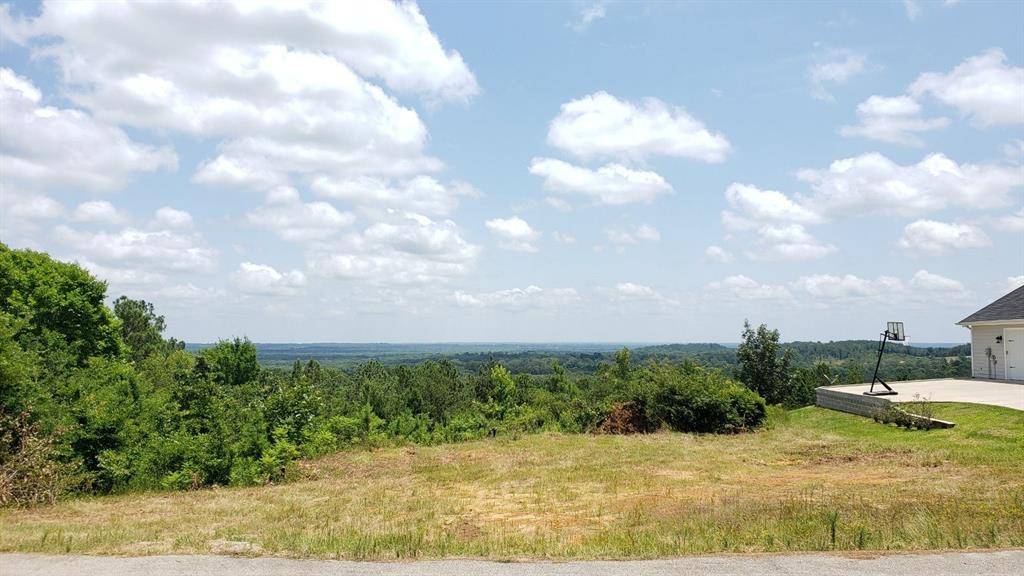 11082 Skyline Drive, Brownsboro, TX 75756