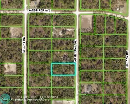 16123 Marsh Quail RD, Weeki Wachee, FL 34614