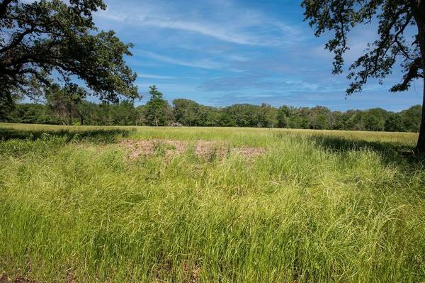 Grand Saline, TX 75140,000 VZ County Road 1805