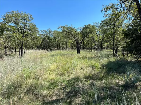 Bowie, TX 76230,lot 431 Bluffs Avenue