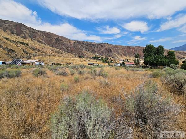 nkn Pheasant Drive, Salmon, ID 83467