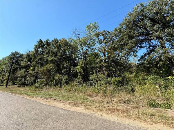 Mabank, TX 75156,190 Geronimo Trail