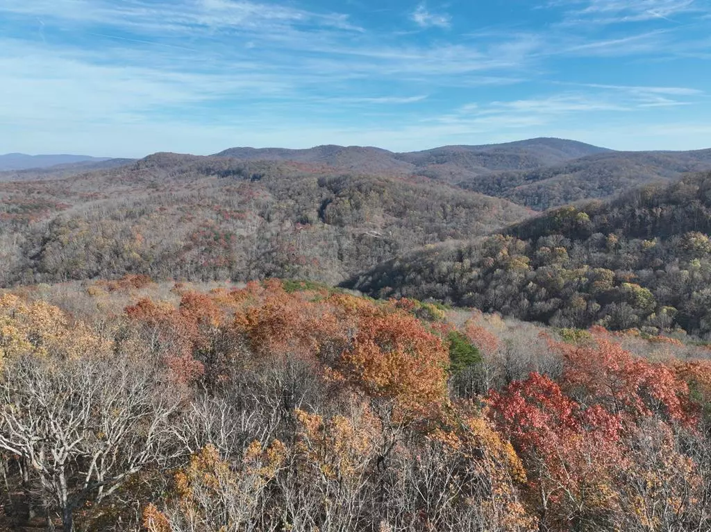 Ellijay, GA 30536,274 Andes Ridge