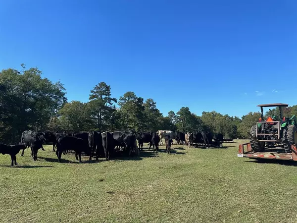 Overton, TX 75662,CR 142D-1 Path