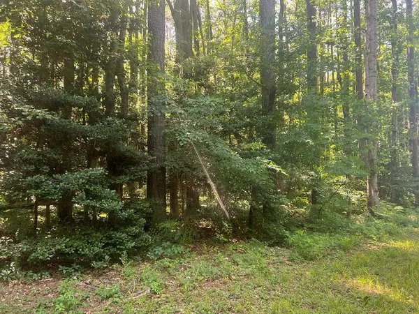 Lot 125 Blackberry RD, Reedville, VA 22539