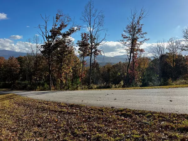 Blairsville, GA 30512,Lot 118 Winding Ridge