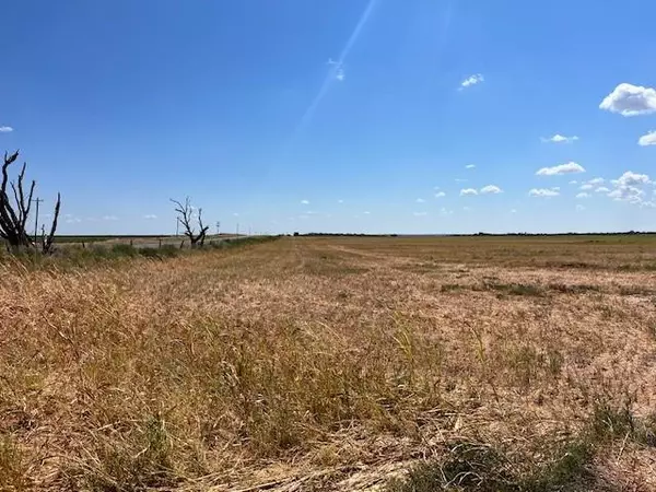 Rotan, TX 79546,TBD State Hwy 92