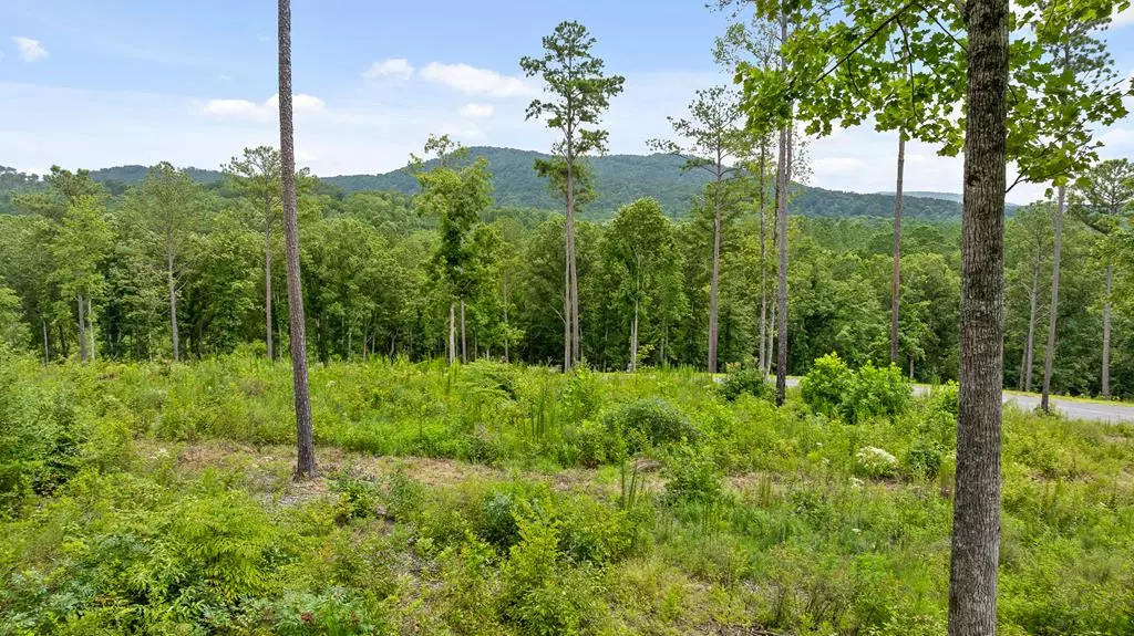 Lot 345 Timber Creek Trail, Talking Rock, GA 30175