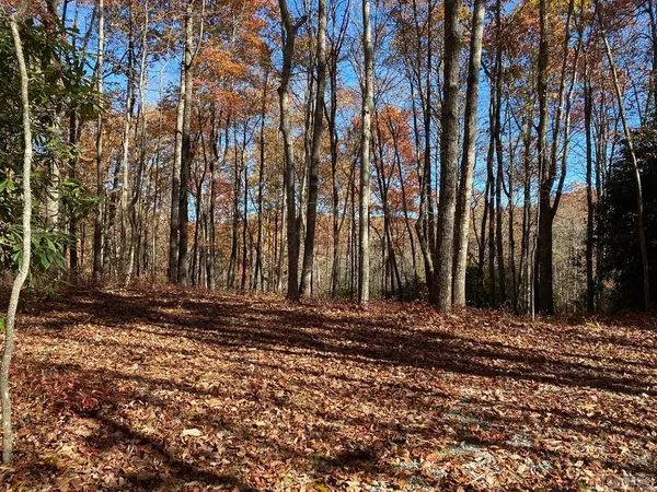 Lot 45 Roaming Road, Glenville, NC 28736