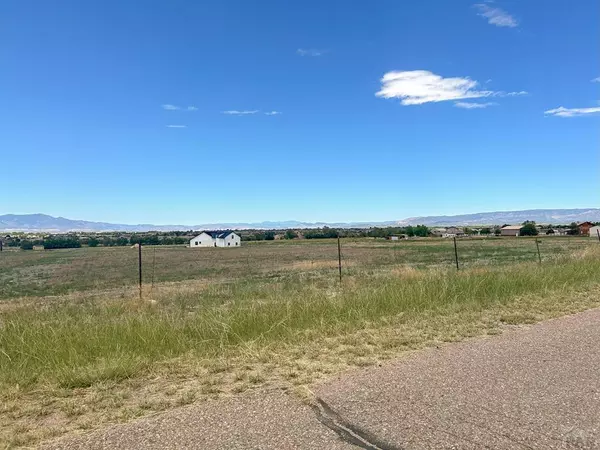 35 Top Rail Trail, Penrose, CO 81240