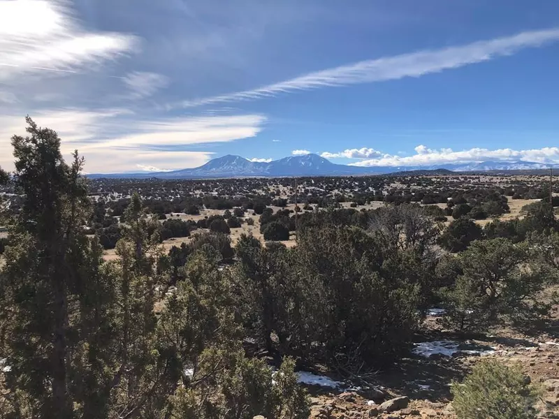 Lot 447 Rio Cucharas, Walsenburg, CO 81089