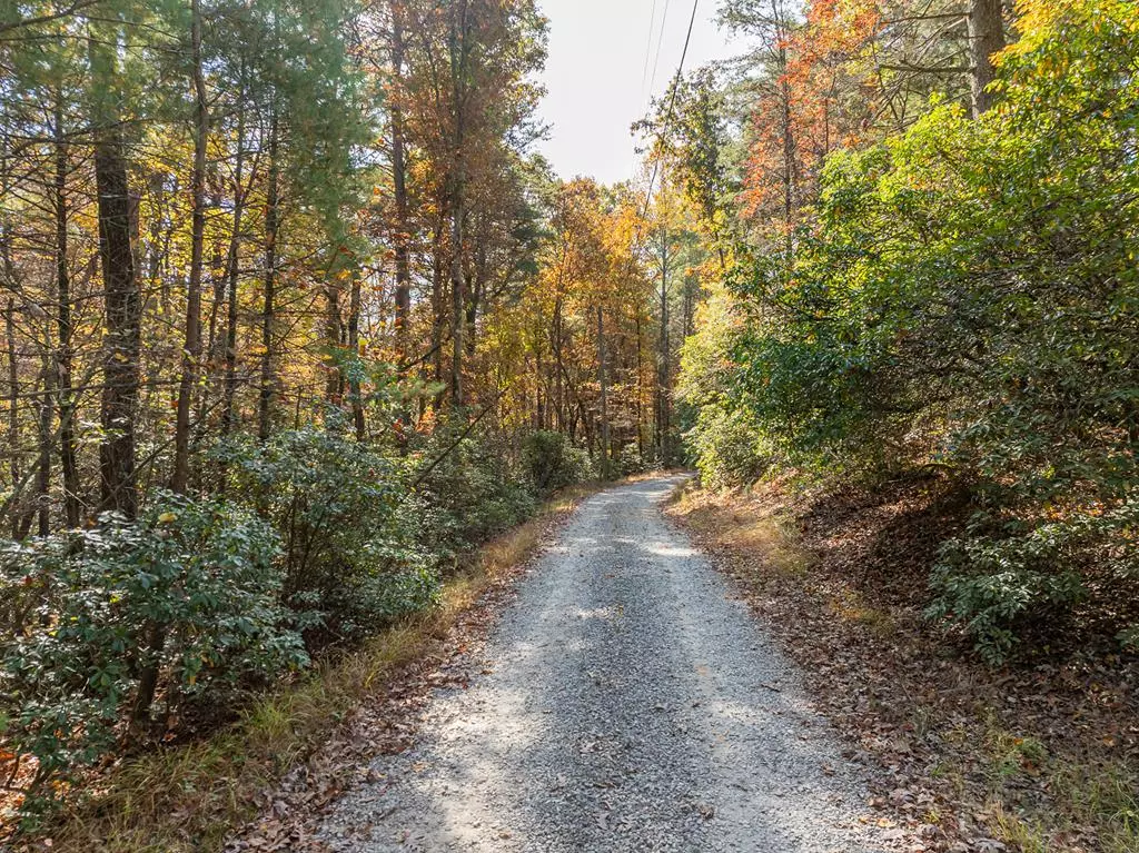 Ellijay, GA 30536,51.96 AC Laughing Bird Lane