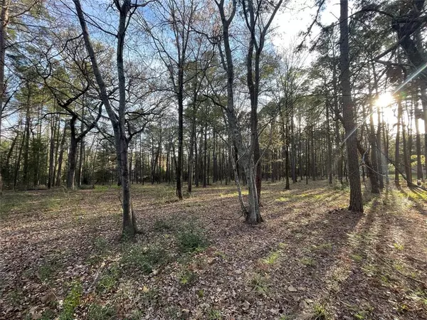 Tyler, TX 75707,14664 Jade Forest Trail