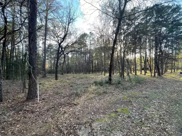 Tyler, TX 75707,14664 Jade Forest Trail