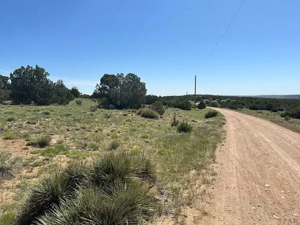 Walsenburg, CO 81089,Lot 447 Rio Cucharas