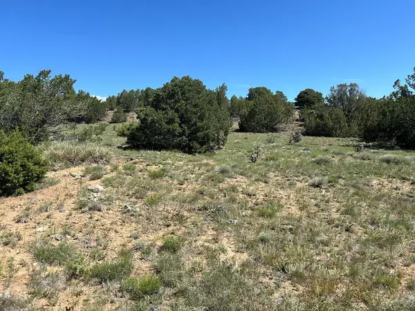 Walsenburg, CO 81089,Lot 447 Rio Cucharas