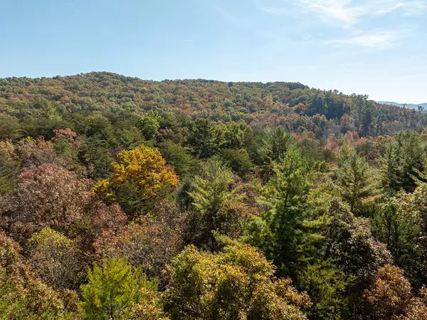 Ellijay, GA 30536,51.96 AC Laughing Bird Lane