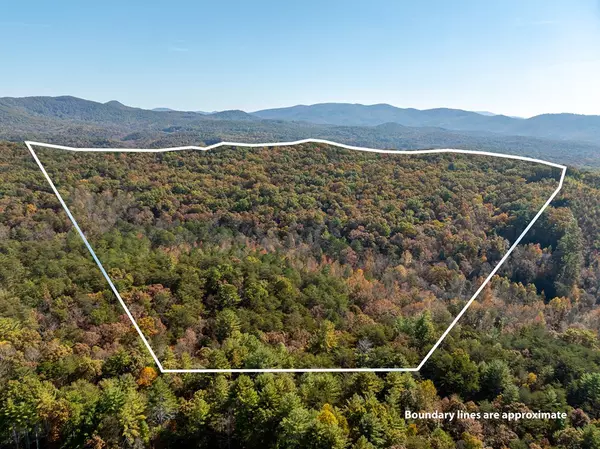 Ellijay, GA 30536,51.96 AC Laughing Bird Lane