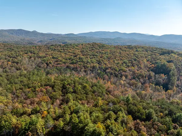 Ellijay, GA 30536,51.96 AC Laughing Bird Lane