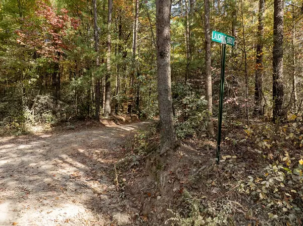 Ellijay, GA 30536,51.96 AC Laughing Bird Lane