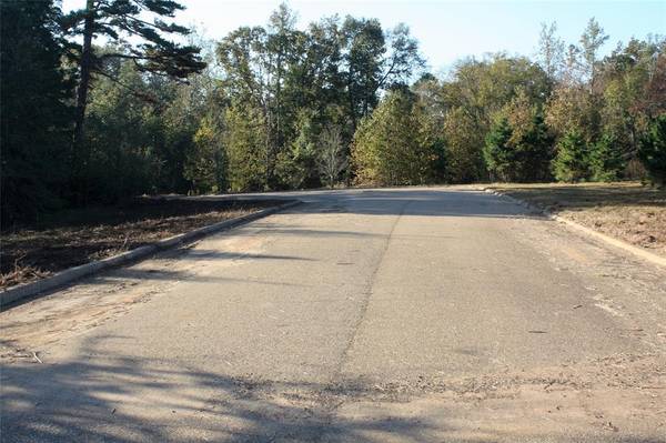 TBD Armadillo Road, Gilmer, TX 75644