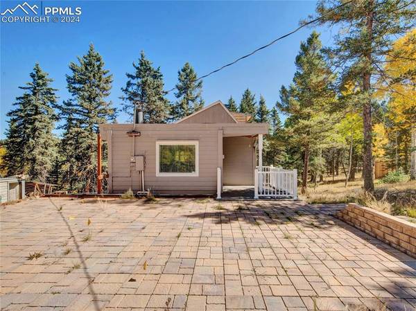 Florissant, CO 80816,7 Castle Peak LN