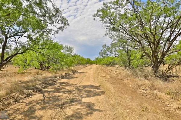 Albany, TX 76430,TBD Hwy 601