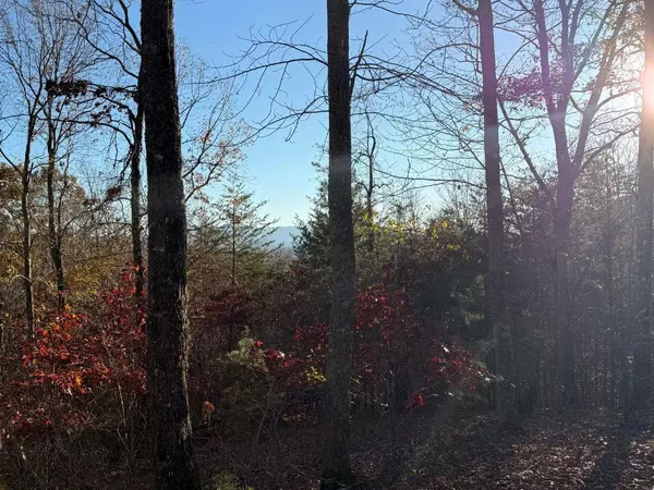 Lot 26-A Licklog Ridge, Hayesville, NC 28906