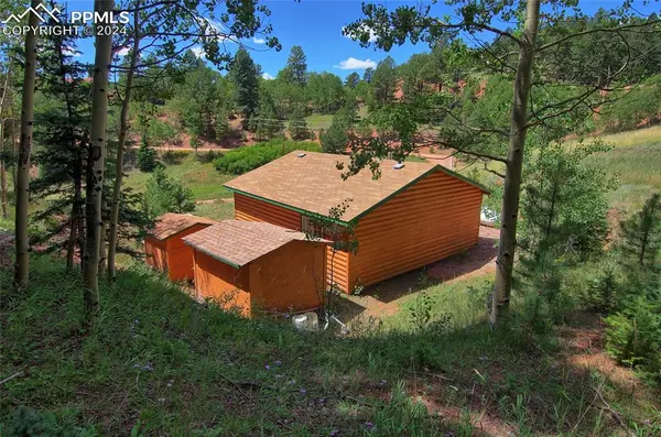 68 Valley RD, Divide, CO 80814