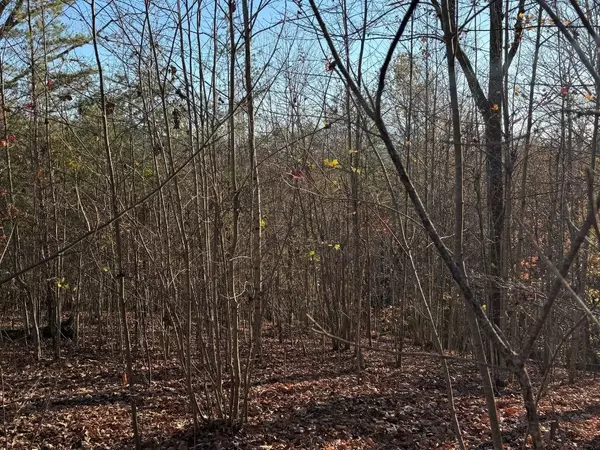 Hayesville, NC 28904,Lot 26-A Licklog Ridge