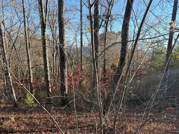 Hayesville, NC 28904,Lot 26-A Licklog Ridge