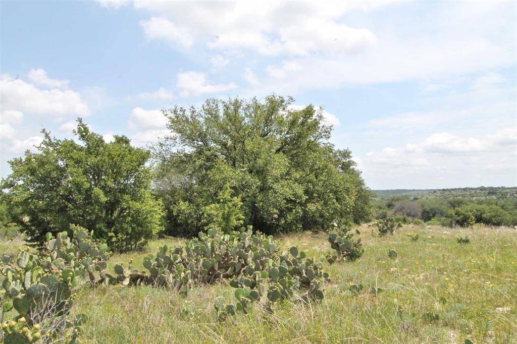 Lot #137 Valley View Court, Glen Rose, TX 76043