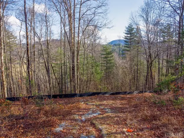 24 Norton Ridge Lane, Cashiers, NC 28717