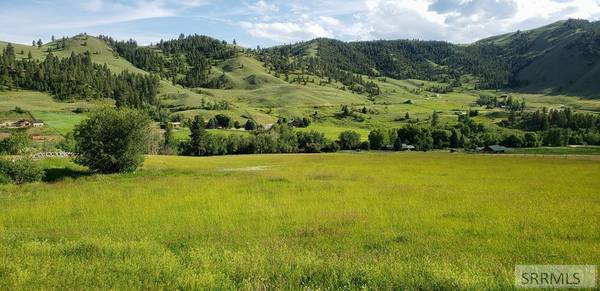 TBD Fourth of July Creek Road, North Fork, ID 83466