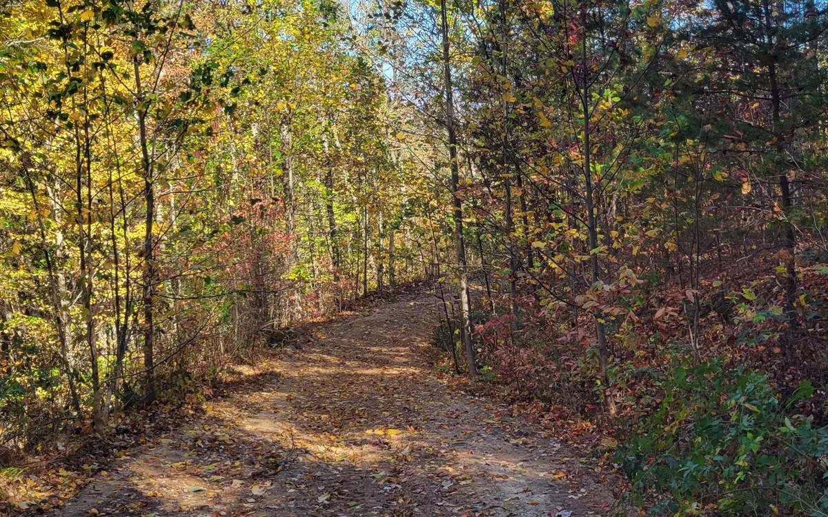 Ellijay, GA 30540,8 AC Old Burnt Mountain