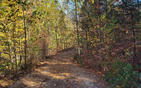 8 AC Old Burnt Mountain, Ellijay, GA 30540