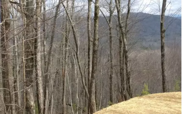 Ellijay, GA 30540,6 AC Old Burnt Mountain