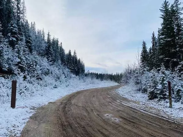 Rural Yellowhead County, AB T7V 0A3,24231 EAST RIVER ROAD