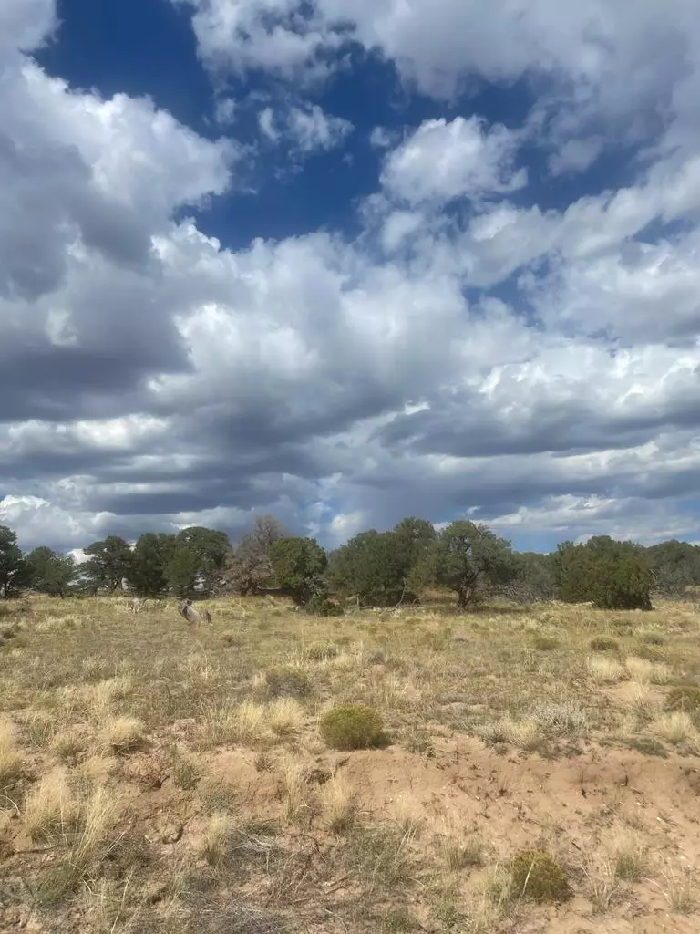 Walsenburg, CO 81089,TBD Colorado Land and Grazing