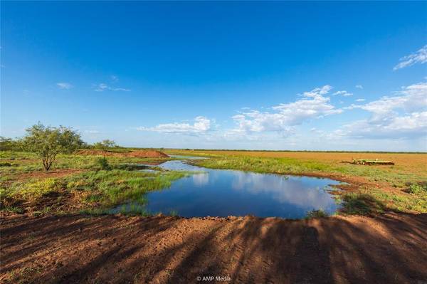 Colorado City, TX 79512,TBD CR 252