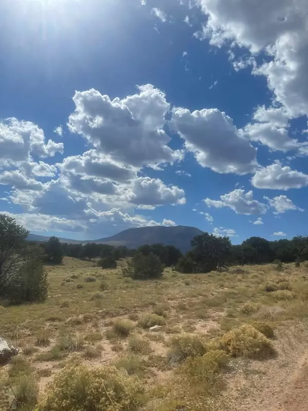 Walsenburg, CO 81089,TBD Colorado Land and Grazing