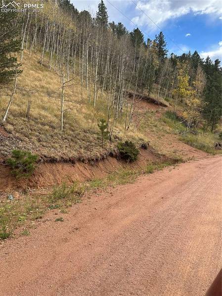 80 Beaver Pond RD, Divide, CO 80814