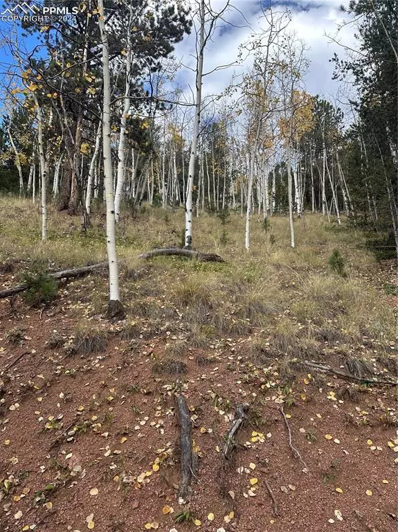 Divide, CO 80814,741 Pikes Peak DR