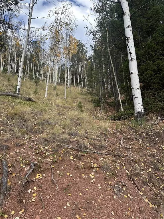 Divide, CO 80814,741 Pikes Peak DR