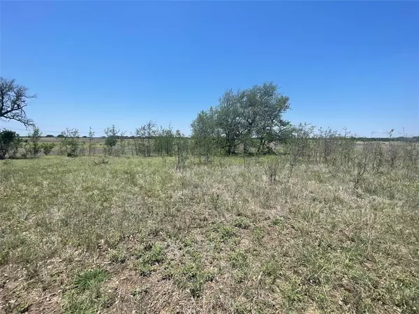 Goldthwaite, TX 76844,TBD CR 338