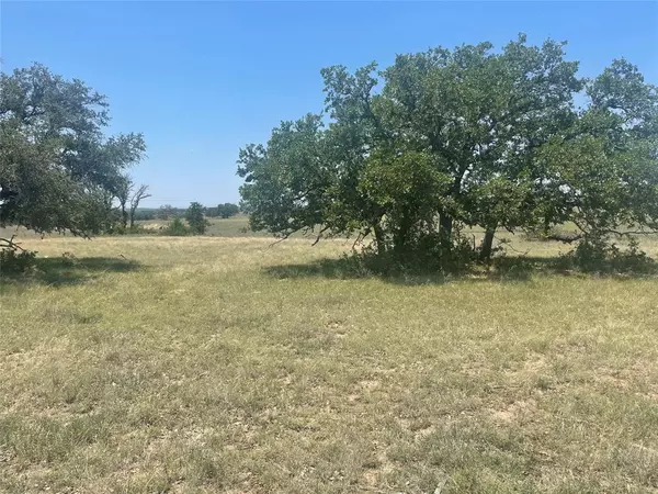 Goldthwaite, TX 76844,TBD Road 338