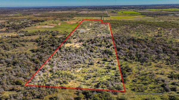 9776 US Highway 281 S, Perrin, TX 76486